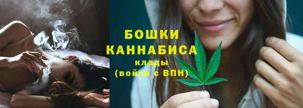 прущий лед Вязьма