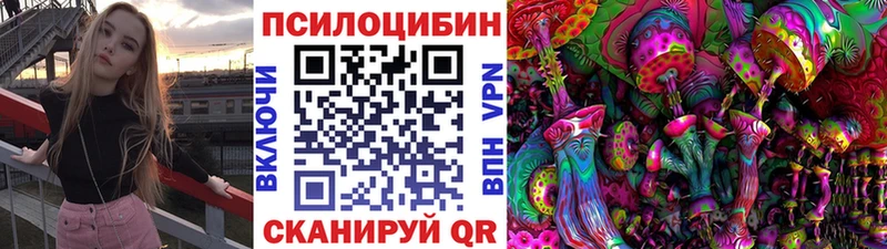 купить наркотики сайты  Кадников  Псилоцибиновые грибы Psilocybine cubensis 